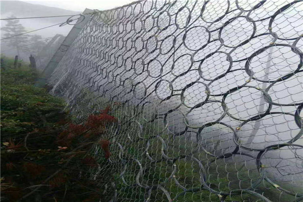 被動邊坡防護網(wǎng)圖片