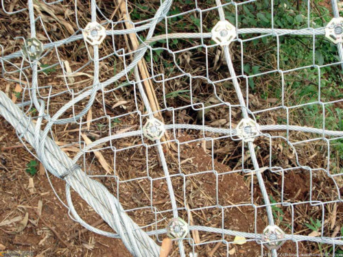 絞索網(wǎng)圖片