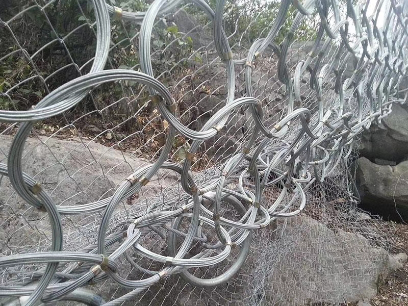 環(huán)形網(wǎng)